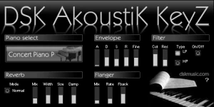 DSK AKOUSTIK KEYZ interface